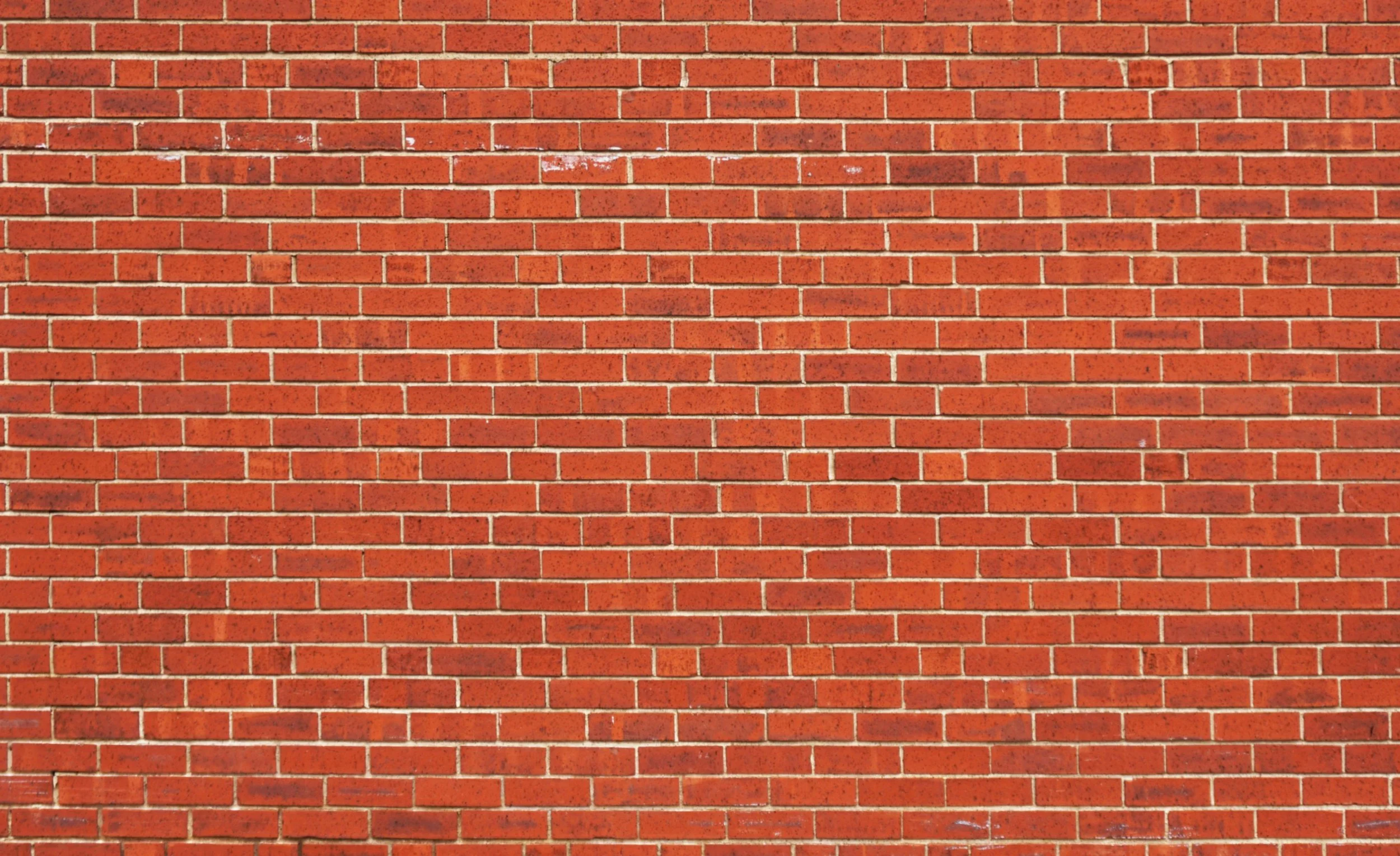 ‘Decolonisation Isn’t Just a Buzzword’: An Interview with the University of Birmingham Liberated Zone